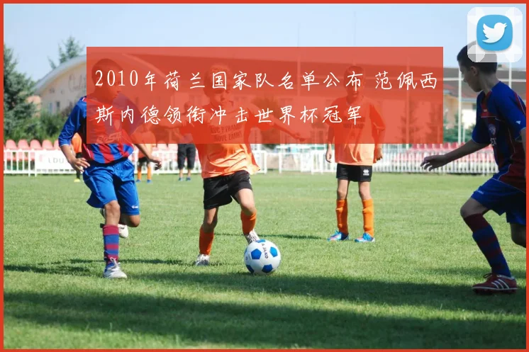 2010年荷兰国家队名单公布 范佩西斯内德领衔冲击世界杯冠军