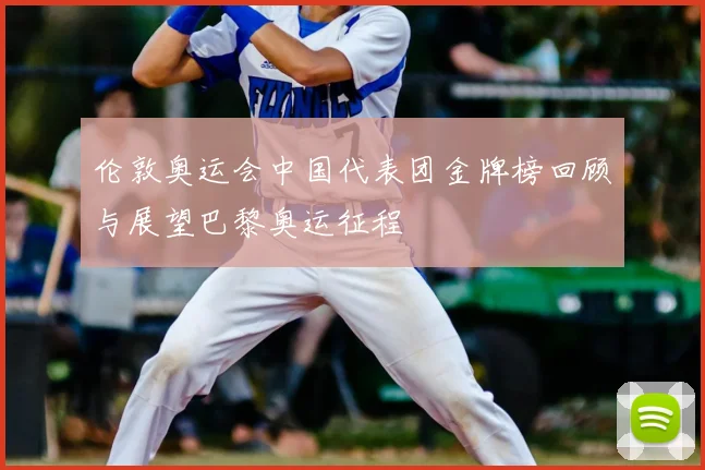 伦敦奥运会中国代表团金牌榜回顾与展望巴黎奥运征程