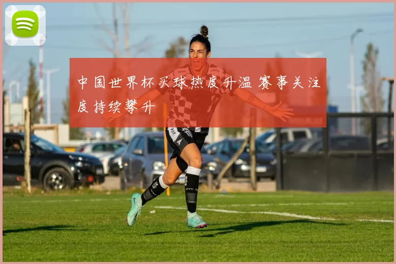 中国世界杯买球热度升温 赛事关注度持续攀升